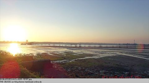 2018-NCL-JADE-10107