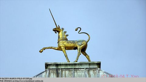 2019-MARCO-POLO-011205