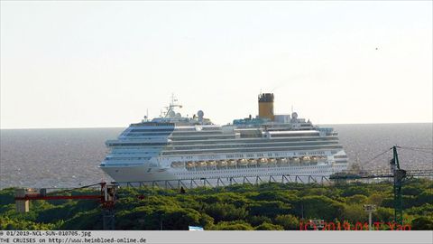 2019-NCL-SUN-010705