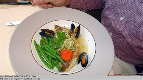 2017-MSC-MERAVIGLIA-011017