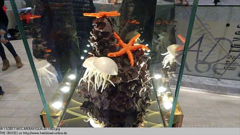 2017-MSC-MERAVIGLIA-011903