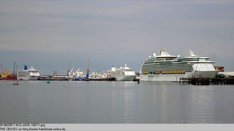 2017-NCL-JADE-10211