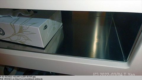 2022-VALIANT-LADY-012107